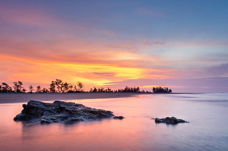 Cồn Mang là vùng đất ngập mặn ven biển, nơi lý tưởng để ngắm chim trời, bắt ngao, sò và chiêm ngưỡng hoàng hôn tuyệt đẹp